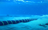 Cáp ngầm: đấu trường cạnh tranh Mỹ - Trung