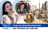 Xem nhanh 12h: Thủy Tiên phản hồi chuyện liên quan bà Nguyễn Phương Hằng | Thay thế hàng cây chết khô