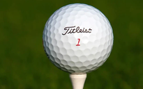 Nghề 'độc, lạ' giúp thu nhập cao: Tìm nhặt bóng golf