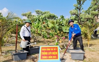 Mãnh liệt Trường Sa