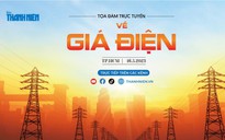 Báo Thanh Niên tổ chức 'Tọa đàm trực tuyến về giá điện'