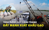 Việt Nam thúc đẩy xuất khẩu gạo sang châu Phi