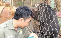 Cứu hộ động vật hoang dã: Chuyện 'thâm cung' ở khu cứu hộ