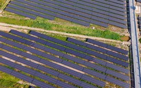 23 nhà đầu tư điện mặt trời, điện gió kiến nghị Chính phủ gỡ tắc đàm phán giá điện