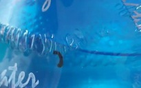 'Đỉa trong bình nước': Bình nước vật chứng không còn, cơ quan chức năng gặp khó