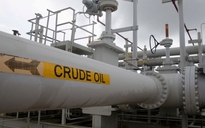 Giá xăng dầu hôm nay 8.5.2023: Giá nhập khẩu tiếp đà giảm