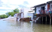 Vĩnh Long: Sạt lở bờ sông Trà Ôn, 8 căn nhà sụp xuống sông