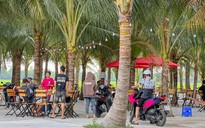 Độc đáo quán cà phê có 300 cây dừa, hút cả trăm bạn trẻ tới vui chơi
