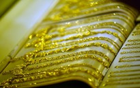 Giá vàng hôm nay 17.6.2023: Vàng nhẫn rẻ hơn vàng miếng gần 11 triệu đồng