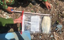 Phát hiện túi ni lông chứa chất nghi ma túy dạt vào bờ biển Quảng Trị