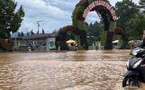 Đà Lạt: Mưa lớn gây ngập nhiều khu vực