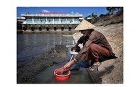 Hạ lưu sông Mekong đang khô hạn nhiều hơn so với bình thường