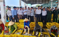 Ngư dân Kiên Giang kiến nghị Chính phủ cho giãn nợ, giảm lãi vay ngân hàng