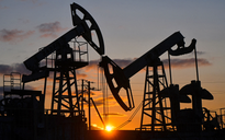Giá dầu và thị trường chứng khoán châu Á biến động nhẹ