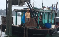 CSGT đường thủy Quảng Ninh liên tiếp bắt giữ 'hung thần đại dương'