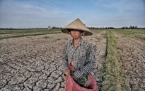 El Nino đã xuất hiện