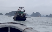 Biên phòng Quảng Ninh đồng loạt bắt giữ 'hung thần đại dương'
