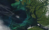 Biến đổi khí hậu đang làm đổi màu các đại dương của thế giới