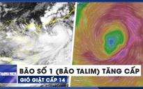 Khẩn cấp: Bão số 1 (bão Talim) tăng cấp, dự báo sẽ gây mưa rất lớn