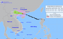 Bão số 1 giật cấp 14 trên vịnh Bắc bộ, đang áp sát Quảng Ninh