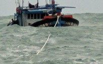 Bình Định: Tàu cá bị chìm, 2 ngư dân mất tích