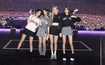 Tranh cãi xoay quanh giá vé concert của BlackPink tại Hà Nội