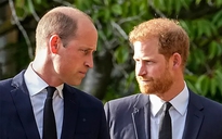 Hoàng tử Harry và Hoàng tử William, ai giàu hơn?