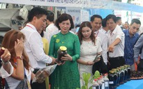 Giải pháp khoa học và công nghệ cho ‘thủ phủ’ hạt điều Bình Phước