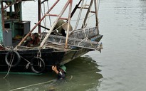 Quảng Ninh: Yêu cầu xử lý nghiêm tàu cá khai thác thủy sản bất hợp pháp