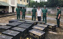 Bắt nghi phạm vận chuyển hơn 8.000 vịt giống nhập lậu từ Trung Quốc