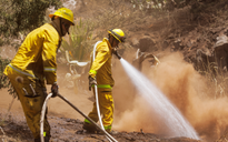 Số người chết trong cháy rừng Hawaii tiếp tục tăng