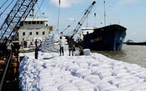 Chủ động ứng phó El Nino để tăng xuất khẩu gạo