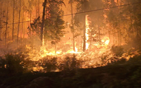 Cháy rừng nghiêm trọng lan nhanh nhiều nơi