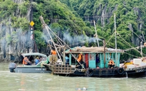 Quảng Ninh: Xử phạt 26 'hung thần đại dương' gần 600 triệu đồng