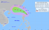 Bão Sao La: Gió mạnh cấp 16, vào Biển Đông chiều tối nay