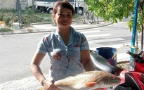 Ngư dân bắt được cá sủ vàng trên vùng biển Đà Nẵng