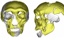 Phát hiện loài người mới ở Trung Quốc?
