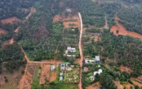 Thủ tướng yêu cầu xử lý nghiêm việc xây dựng trái phép trên đất rừng phòng hộ