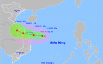 Miền Trung, miền Nam và Tây nguyên ứng phó áp thấp nhiệt đới và mưa lớn
