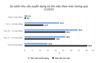 Nhu cầu và mức lương tuyển dụng việc làm ở TP.HCM mới nhất