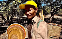 Đồng Nai: Người đàn ông 65 tuổi 'mất tích' trong Vườn quốc gia Cát Tiên