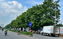 Đại lộ nghìn tỉ ở Hà Nội bị 'xẻ thịt' làm nơi trung chuyển hàng hóa