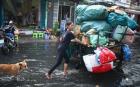 Nghịch lý lao động thất nghiệp, doanh nghiệp không tuyển được người