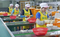 Hàn Quốc tăng lương tối thiểu, mức lương mới của lao động Việt Nam được bao nhiêu?