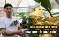 Độc lạ rồng vàng ôm dừa bonsai hút khách, mất cả năm mới tạo hình xong