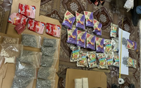 Quảng Bình: Bắt giữ 3 nghi phạm tàng trữ hơn 10 kg ma túy
