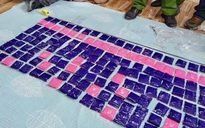 Bắt giữ 4 nghi phạm chở 30.000 viên ma túy từ Quảng Trị ra Quảng Bình