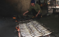 Làng nướng cá nơi cửa biển Hà Tĩnh tất bật vào vụ tết