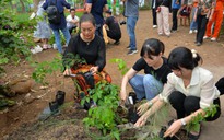 Công ty VWS tài trợ 5.000 cây xanh vì một Việt Nam xanh