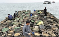 Tràn lan điểm nuôi thủy sản trái phép quanh các đảo ở vịnh Bái Tử Long